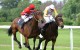 Ascot Cumberland Lodge Stakes betting 061012